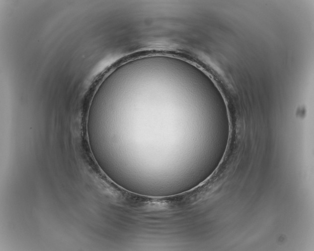 X0000091651315200709060950