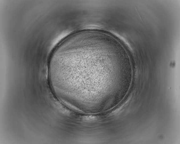 X0000091651317200709060950