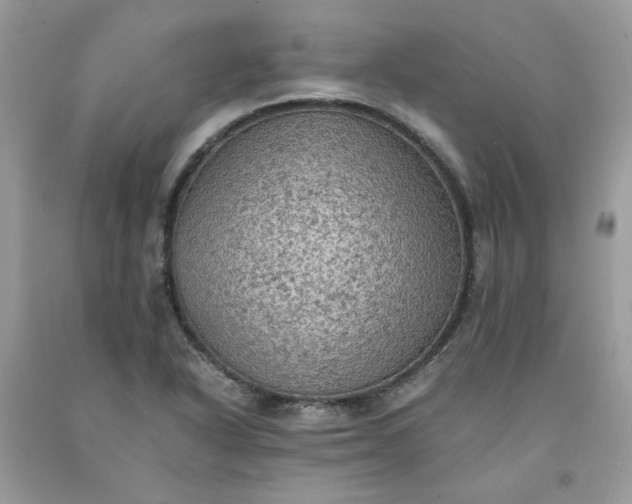 X0000091651318200709060950