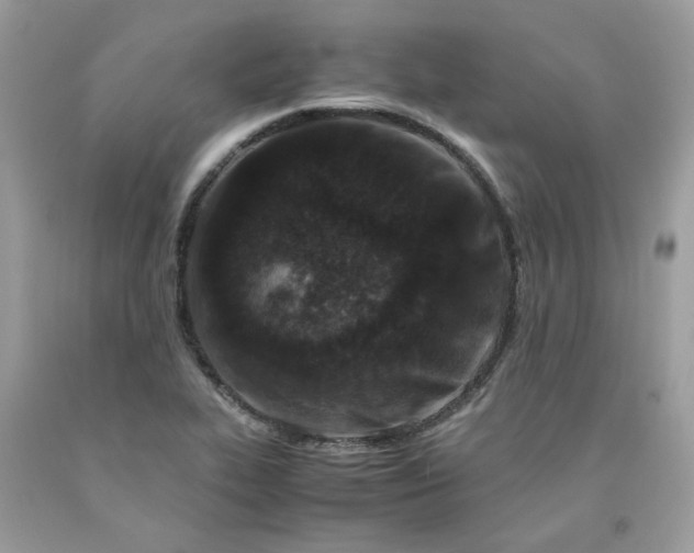 X0000091651319200709060950