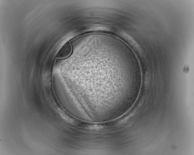 X0000091651321200709060950