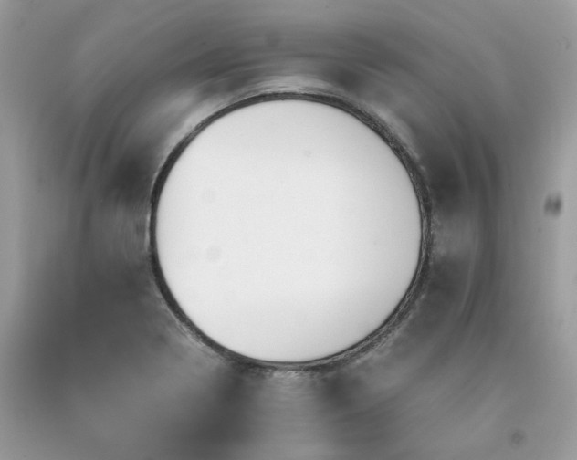 X0000091651322200709060950