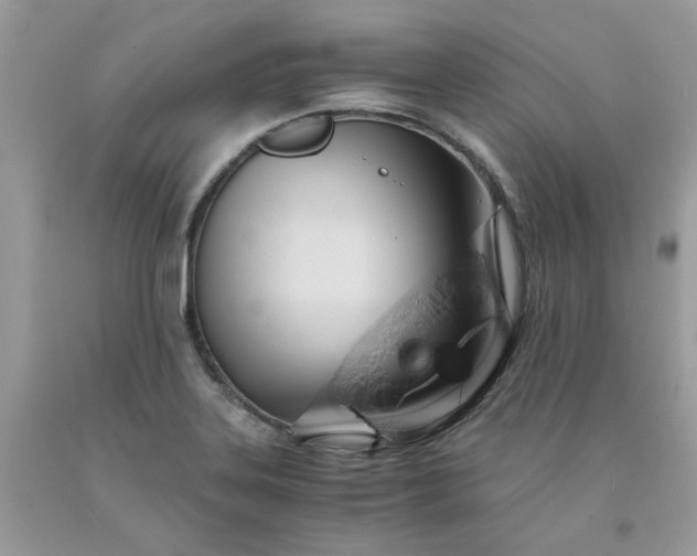 X0000091651323200709060950