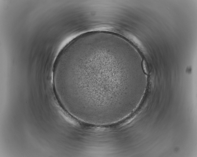 X0000091651324200709060950