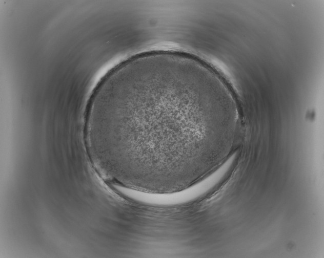 X0000091651326200709060950