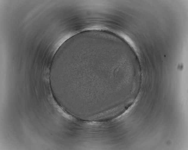 X0000091651329200709060950