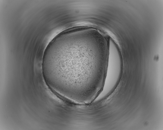 X0000091651330200709060950