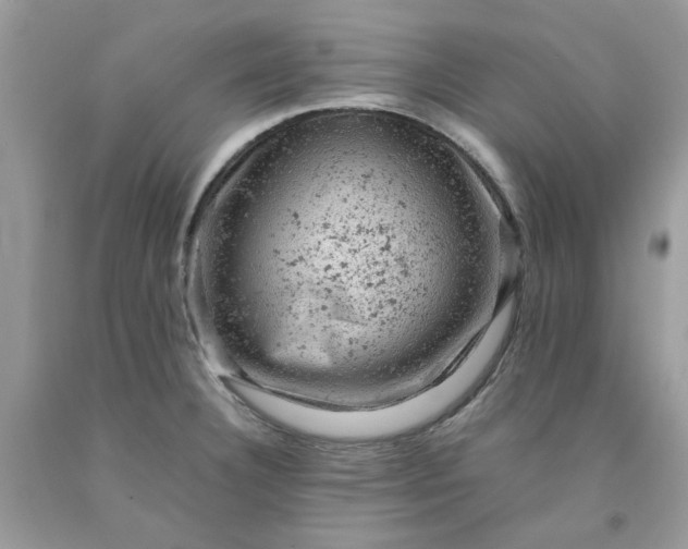 X0000091651332200709060950