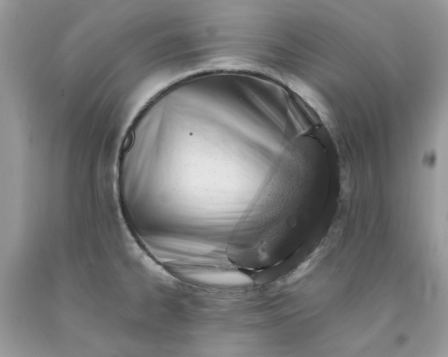 X0000091651334200709060950