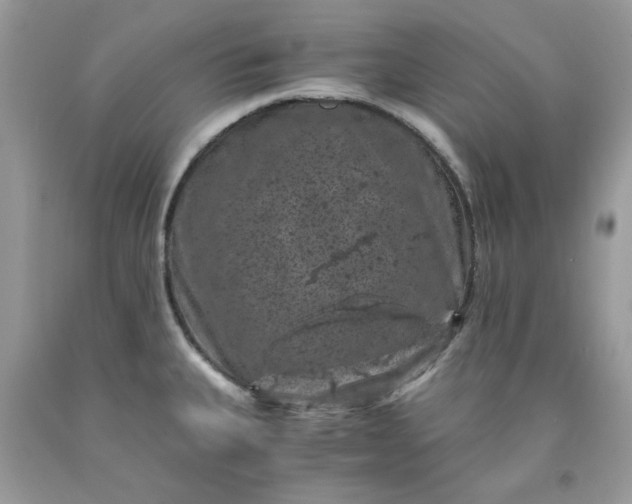 X0000091651335200709060951