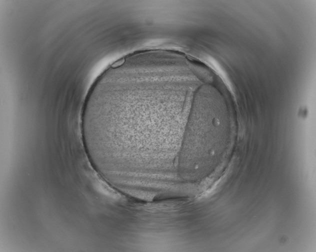 X0000091651336200709060951