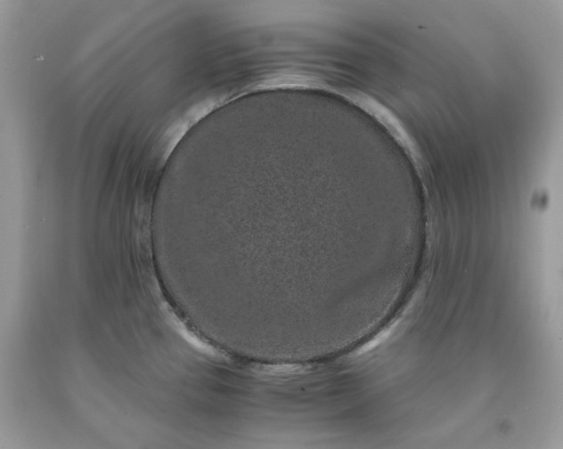 X0000091651337200709060951