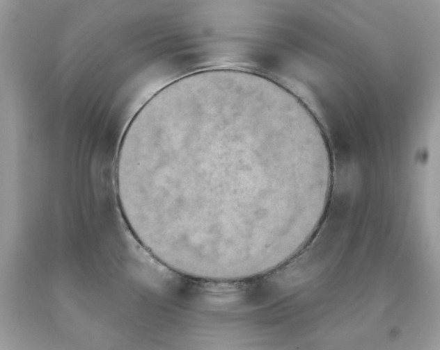 X0000091651338200709060951