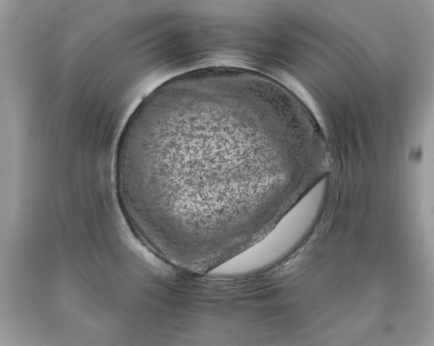 X0000091651339200709060951