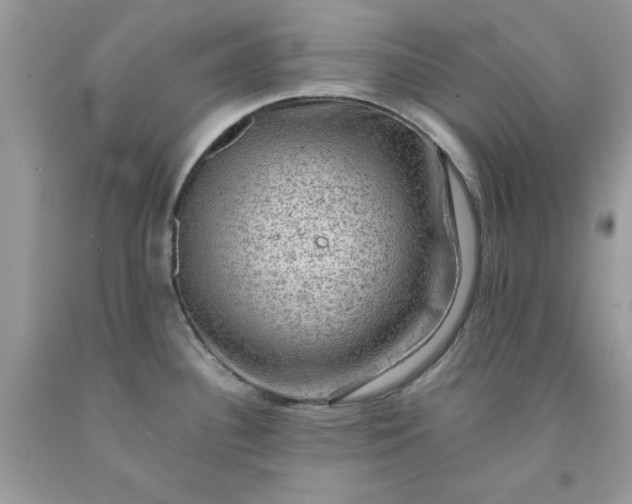 X0000091651340200709060951