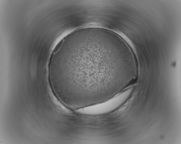 X0000091651341200709060951