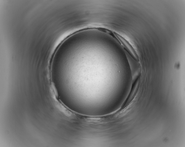 X0000091651342200709060951