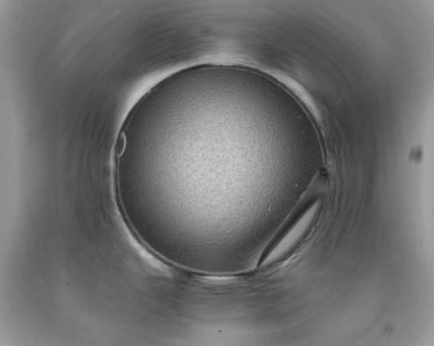 X0000091651343200709060951