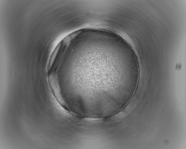 X0000091651344200709060951