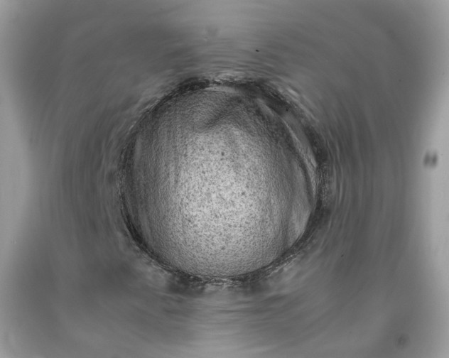 X0000091651345200709060950