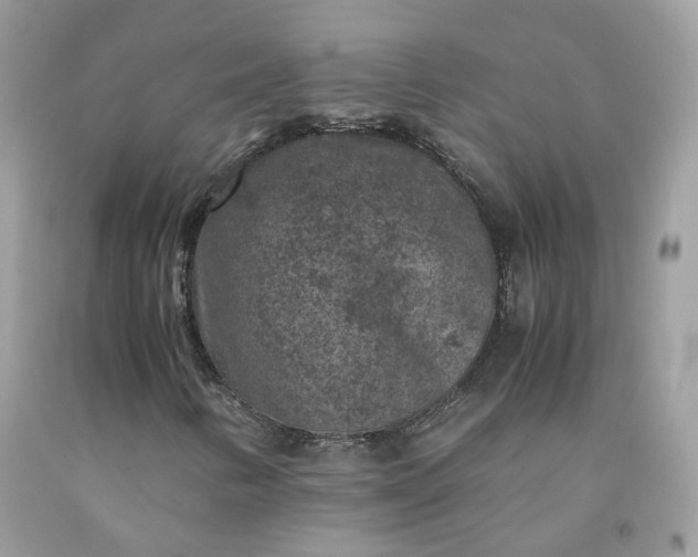 X0000091651346200709060950