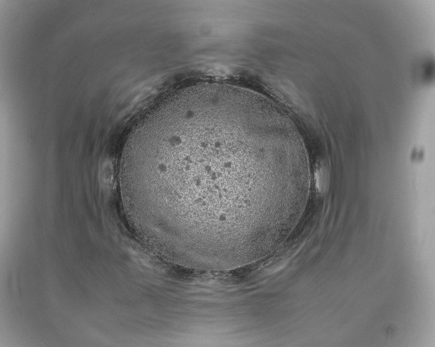 X0000091651347200709060950