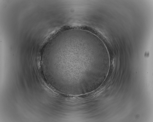 X0000091651348200709060950