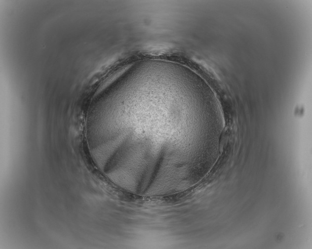 X0000091651349200709060950