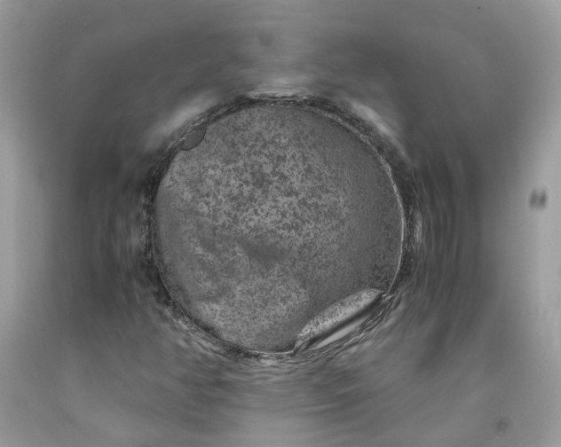 X0000091651350200709060950