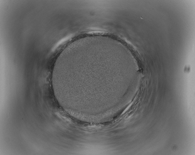 X0000091651351200709060950