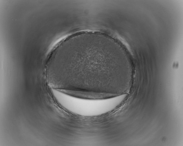 X0000091651352200709060950