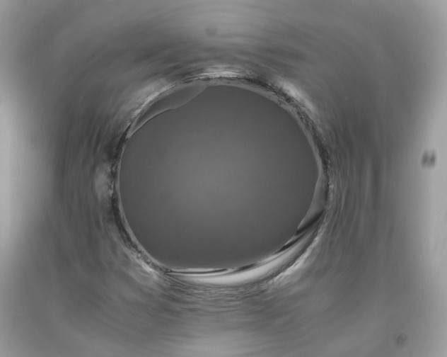 X0000091651353200709060950