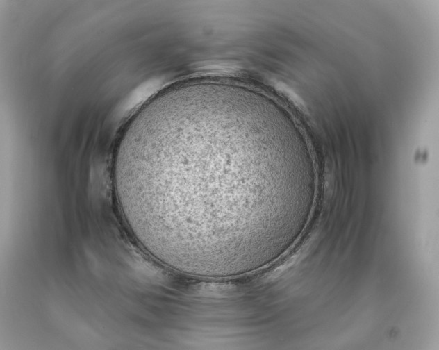 X0000091651354200709060950