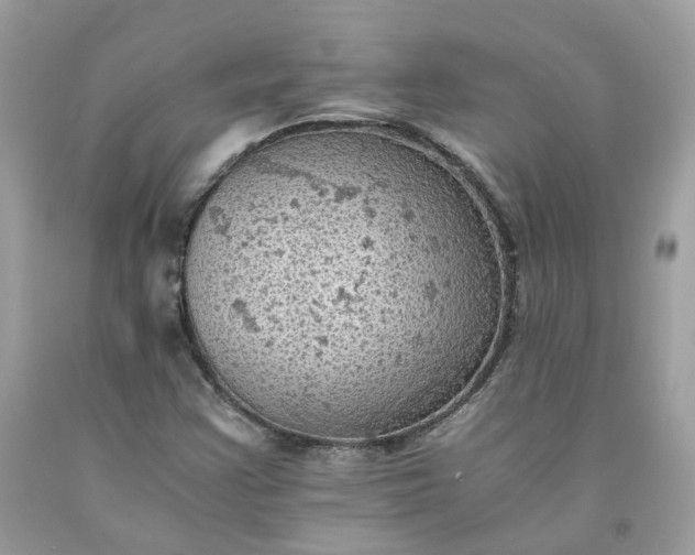 X0000091651355200709060950