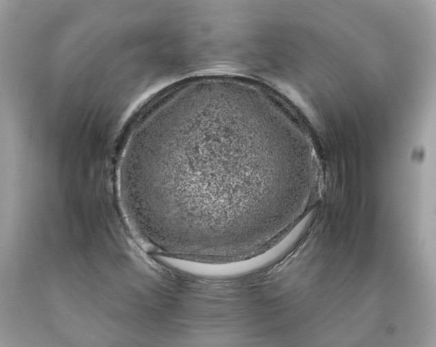 X0000091651356200709060950