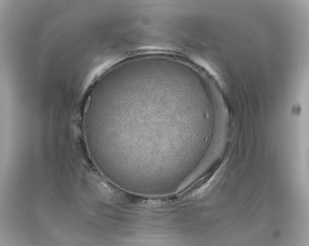 X0000091651357200709060950