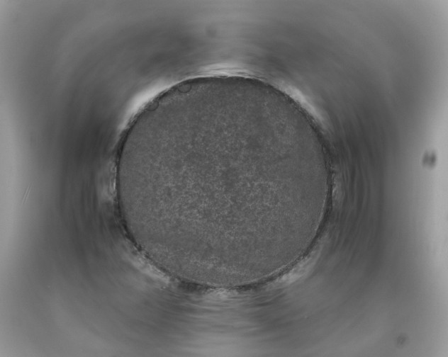 X0000091651358200709060950