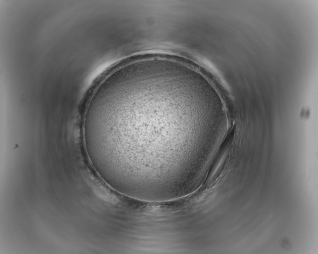 X0000091651360200709060950