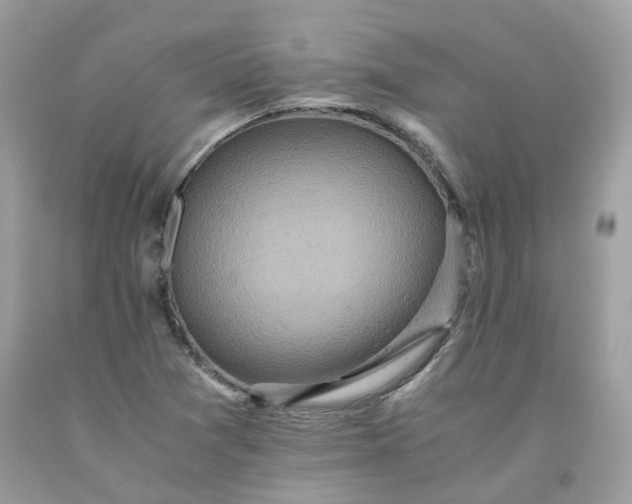 X0000091651361200709060950