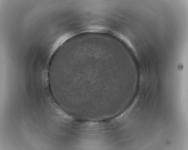 X0000091651362200709060950