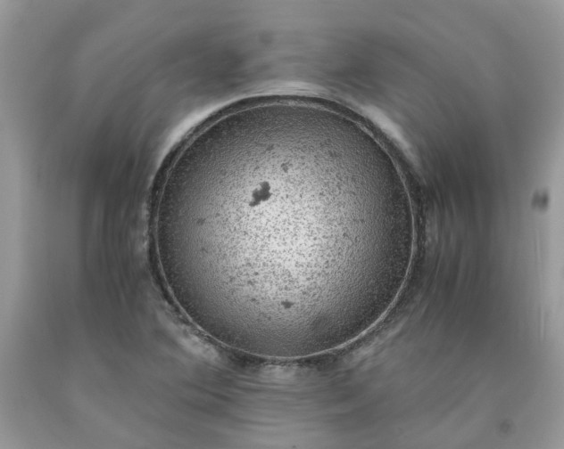 X0000091651364200709060950