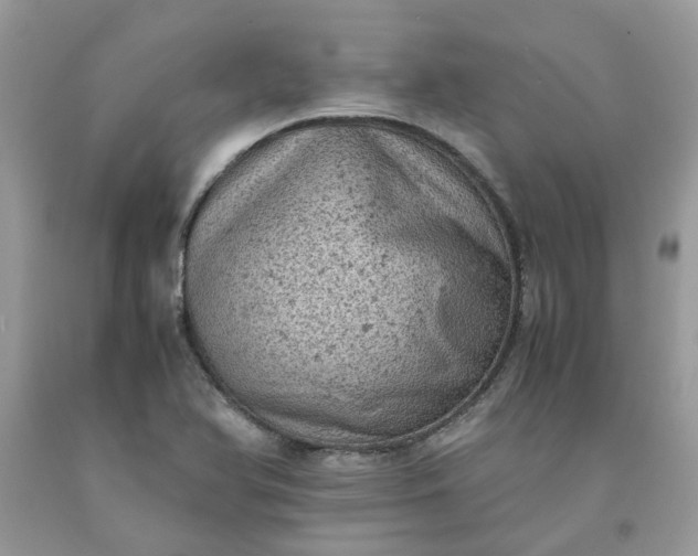 X0000091651366200709060950