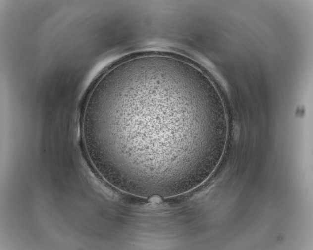 X0000091651368200709060950