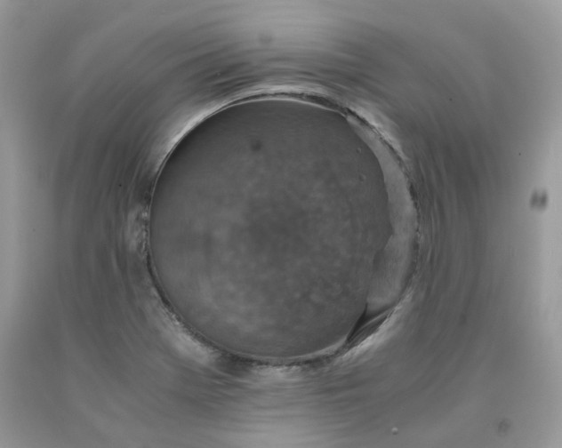 X0000091651369200709060950