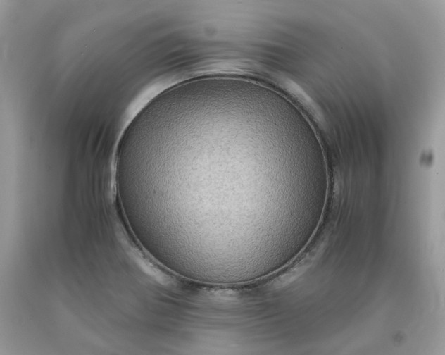 X0000091651370200709060950