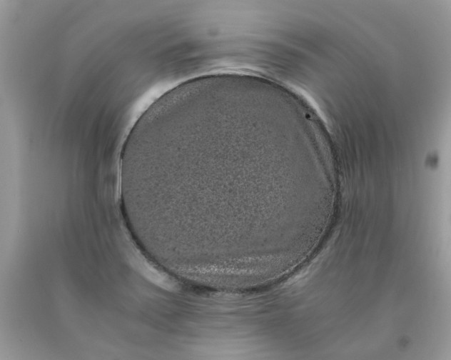 X0000091651371200709060950