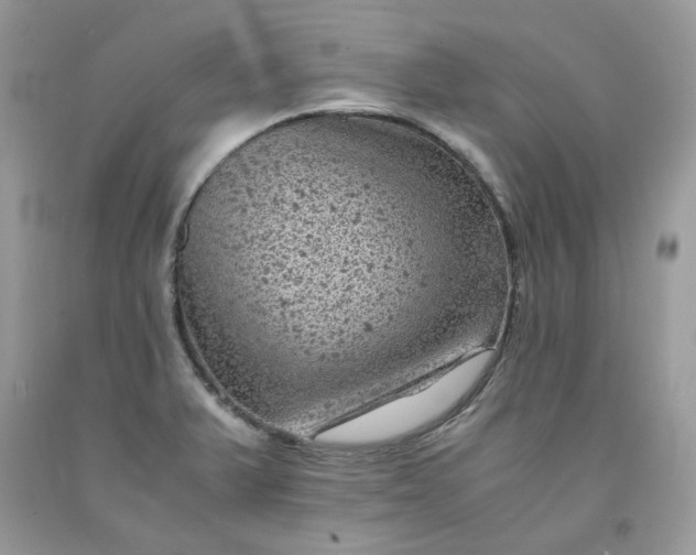 X0000091651375200709060950