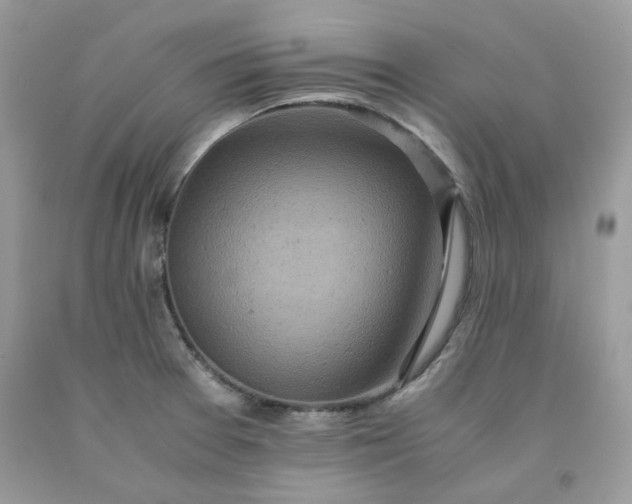 X0000091651377200709060950