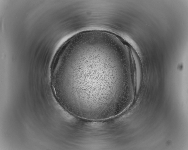 X0000091651380200709060950