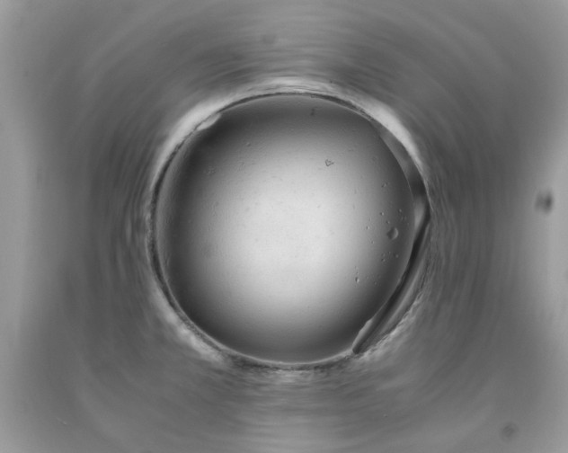 X0000091651381200709060950